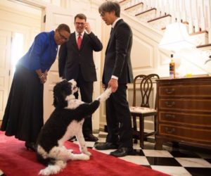 Ambassador John Berry and Mr Curtis Yee greet Consul General Cynthia Griffin, with Hapa the dog joining in!