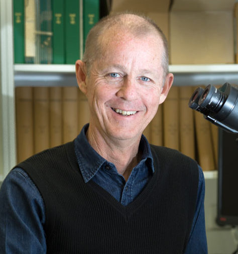 Dr Brett Summerell, Royal Botanic Gardens