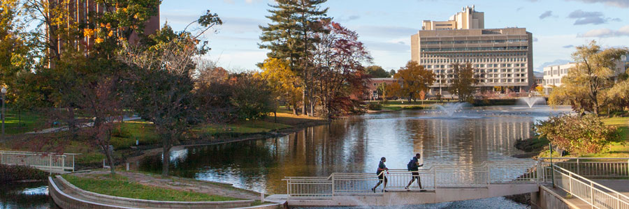 The University of Massachussetts, Amherst