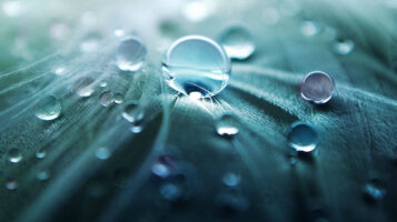 Water purification