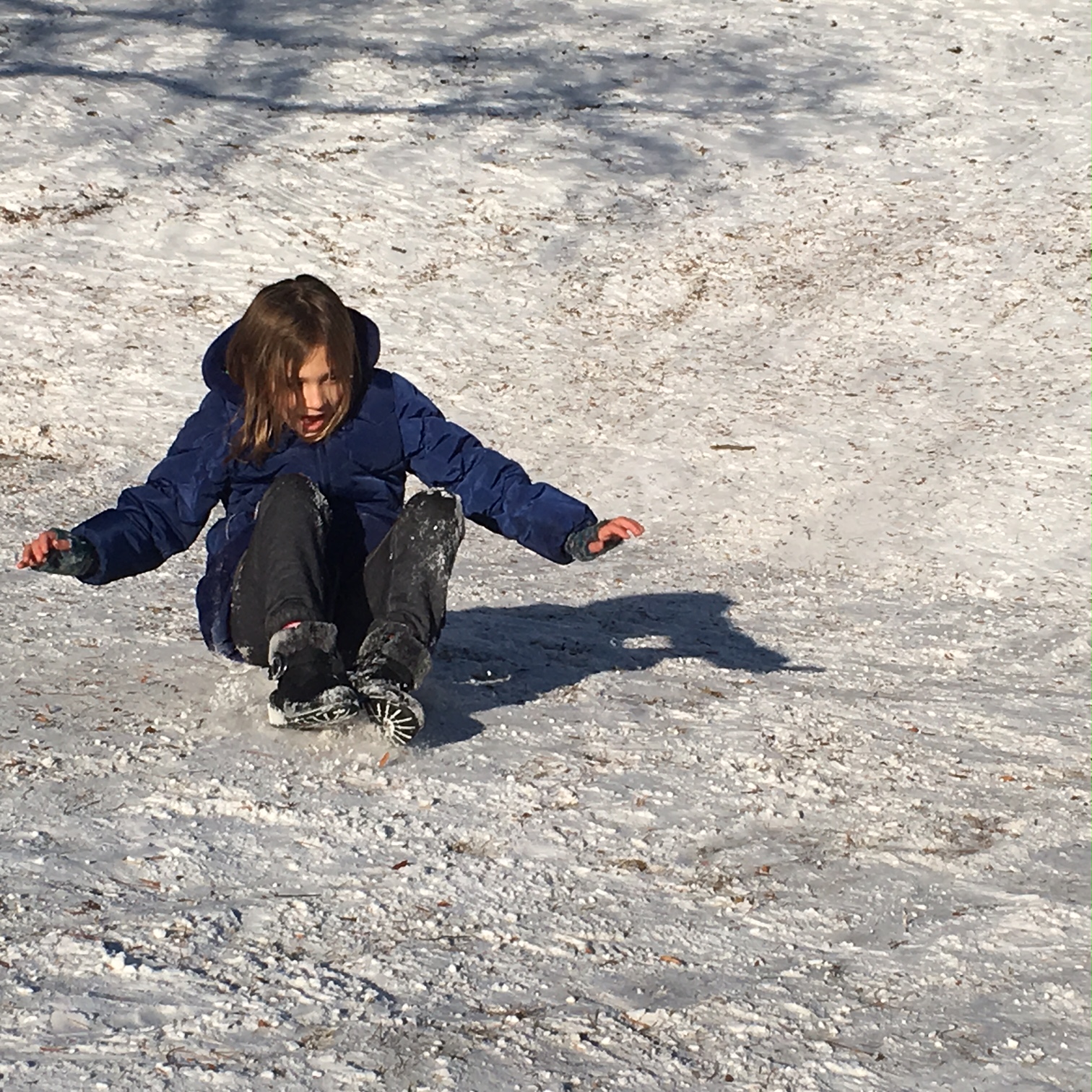 Tobogganing in Hyde Park